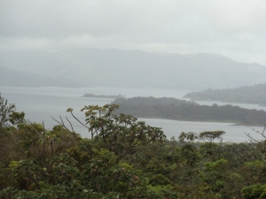 View of Lake Arenal from the top of the Volcano